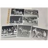 Image 1 : Harness Racing, Featuring Horse Opa, 7 Photos