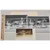 Image 1 : Harness Racing, Featuring Horse Op Art, 3 Photos