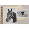 Image 1 : Harness Racing, Featuring Horses Of Lana Lobell Farms, 2 Photos