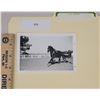 Image 1 : Harness Racing, Featuring Horse Olie Hanover, 1 Photo