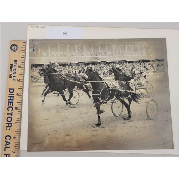 Harness Racing, Featuring Horse Olympic Gold, 1 Photo
