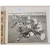Image 1 : Harness Racing, Olympian Speed, Yonkers Raceway, 1 Photo