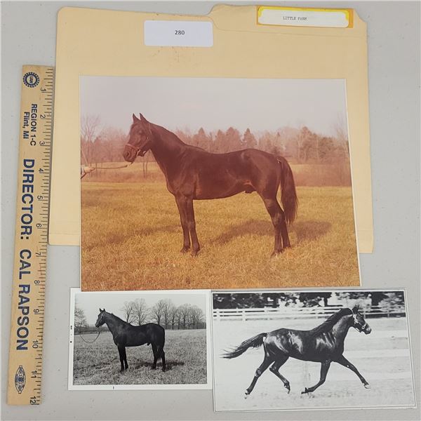 Harness Racing, Horses Of Little Farm, 2 Photos