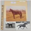 Image 1 : Harness Racing, Horses Of Little Farm, 2 Photos
