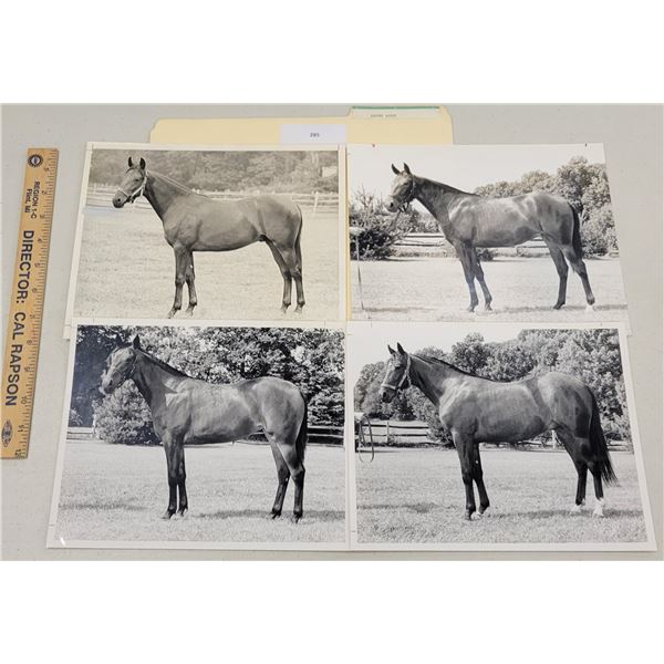 Harness Racing, Horses Of Luxury Acres, 4 Photos