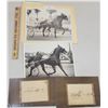 Image 1 : Harness Racing, Horses Of Wilrose Farms, 4 Photos