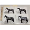 Image 1 : Harness Racing, Horses Of Willow Spring Farms, 10 Photos