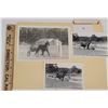Image 1 : Harness Racing, Scenes From Pinehurst Training Track, 3 Photos