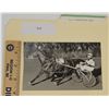 Image 1 : Harness Racing, Horse Galahad From R.I. Standardbred Farm, 1 Photo