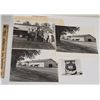 Image 1 : Harness Racing, Scenes From Saratoga Standardbreds Breeding Farm, 4 Photos