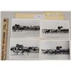 Image 1 : Harness Racing, Seminole Training Track, 4 Photos