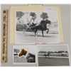 Image 1 : Harness Racing, Horses Of Shady Dale Farm, 3 Photos