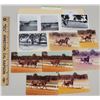 Image 1 : Harness Racing, Horses Of Spring Garden Ranch, 11 Photos