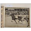 Image 1 : Harness Racing, Featuring Horse Sparky Herbert, Windsor Raceway, 1 Photo
