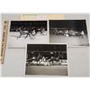Image 1 : Harness Racing, Featuring Horse Springs Pride, 3 Photos