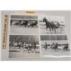 Image 1 : Harness Racing, Featuring Horse Springwood, Windsor Raceway, 4 Photos