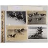 Image 1 : Harness Racing, Featuring Horse Star Racer, Driver Bill Zendt, 4 Photos