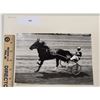 Image 1 : Harness Racing, Featuring Horse Star Of Lov, Driver Tom Ryan, Maine Breeders Stakes At Windsor Fair,