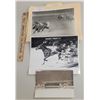 Image 1 : Harness Racing, Featuring Horse Starsky Hanover, Driver Terry Tomlin, 3 Photos