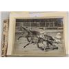 Image 1 : Harness Racing, Featuring Horse Stars Song, Roosevelt Raceway, 1 Photo