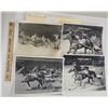 Image 1 : Harness Racing, Featuring Horse Stately's Pride, 9 Photos