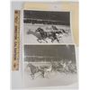 Image 1 : Harness Racing, Featuring Horse Status Seeker, Windsor Raceway, 2 Photos