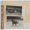 Image 1 : Harness Racing, Featuring Horse Staunch Avenger, 2 Photos