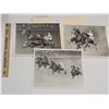 Image 1 : Harness Racing, Featuring Horse Standing O, 3 Photos