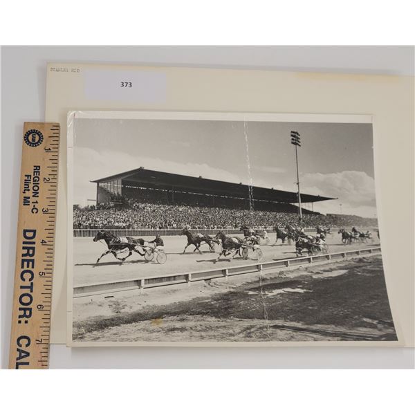 Harness Racing, Featuring Horse Stanley Rio, Addington Race Track, New Zealand, 1 Photo,