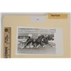 Image 1 : Harness Racing, Featuring Horse Slapdash, 1 Photo