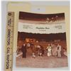 Image 1 : Harness Racing, Featuring Horse Stapleton Place, 3 Photos