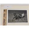 Image 1 : Harness Racing, Featuring Horse Star Beau, 1 Photo