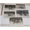 Image 1 : Harness Racing, Featuring Horse Starboard Butler, 5 Photos