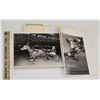 Image 1 : Harness Racing, Featuring Horse Star David, 1 Photo