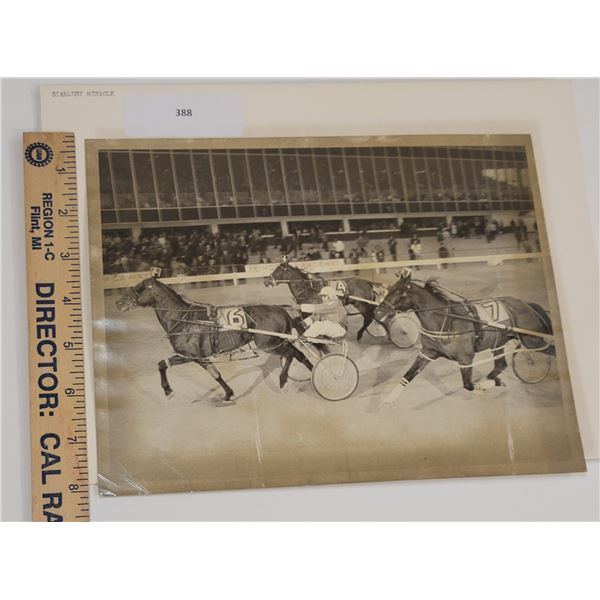 Harness Racing, Featuring Horse Stardust Miracle, Driver Gerald Aiken, Windsor Raceway, 1 Photo
