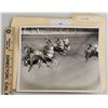 Image 1 : Harness Racing, Featuring Horse Star Edition, Yonkers Raceway, 1 Photo
