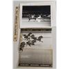 Image 1 : Harness Racing, Featuring Horse Stevie Bowler, Saratoga Harness Racing, 2 Photos