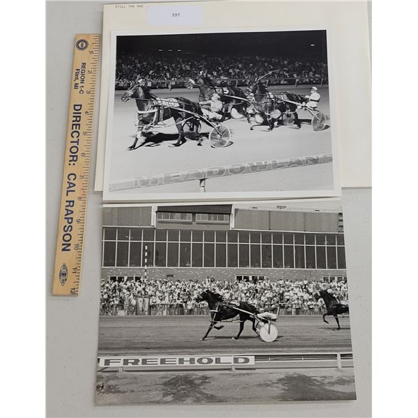 Harness Racing, Featuring Horse Still The One, Driver Herve Filion, 2 Photos
