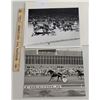 Image 1 : Harness Racing, Featuring Horse Still The One, Driver Herve Filion, 2 Photos