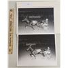Image 1 : Harness Racing, Featuring Horse Stinger Hanover, Saratoga Harness Racing, 2 Photos