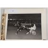 Image 1 : Harness Racing, Featuring Horse Stingray Chip, Saratoga Harness Racing, 1 Photo