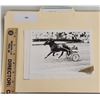 Image 1 : Harness Racing, Featuring Horse Stir Fry, 1 Photo