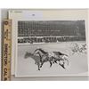 Image 1 : Harness Racing, Featuring Horse St. Lawrence, Driver Richard Carroll, Windsor Raceway. 1 Photo