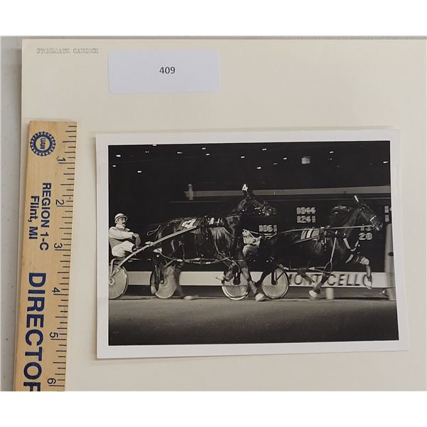 Harness Racing, Featuring Horse Stonegate Cadence, Monticello Raceway, 1 Photo