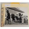 Image 1 : Harness Racing, Featuring Horse Stoney Creed, 1 Photo