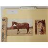 Image 1 : Harness Racing, Featuring Horse Spunky Maid, 2 Photos