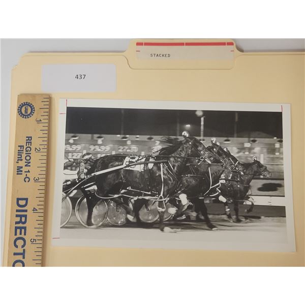 Harness Racing, Featuring Horse Stacked, 1 Photo
