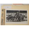 Image 1 : Harness Racing, Featuring Horse Stacked, 1 Photo