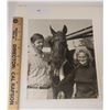 Image 1 : Harness Racing, Featuring Horse Staceys Count, 1 Photo