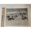 Image 1 : Harness Racing, Featuring Horse Staggering Home, Driver John Chapman, Yonkers Raceway, 1 Photo